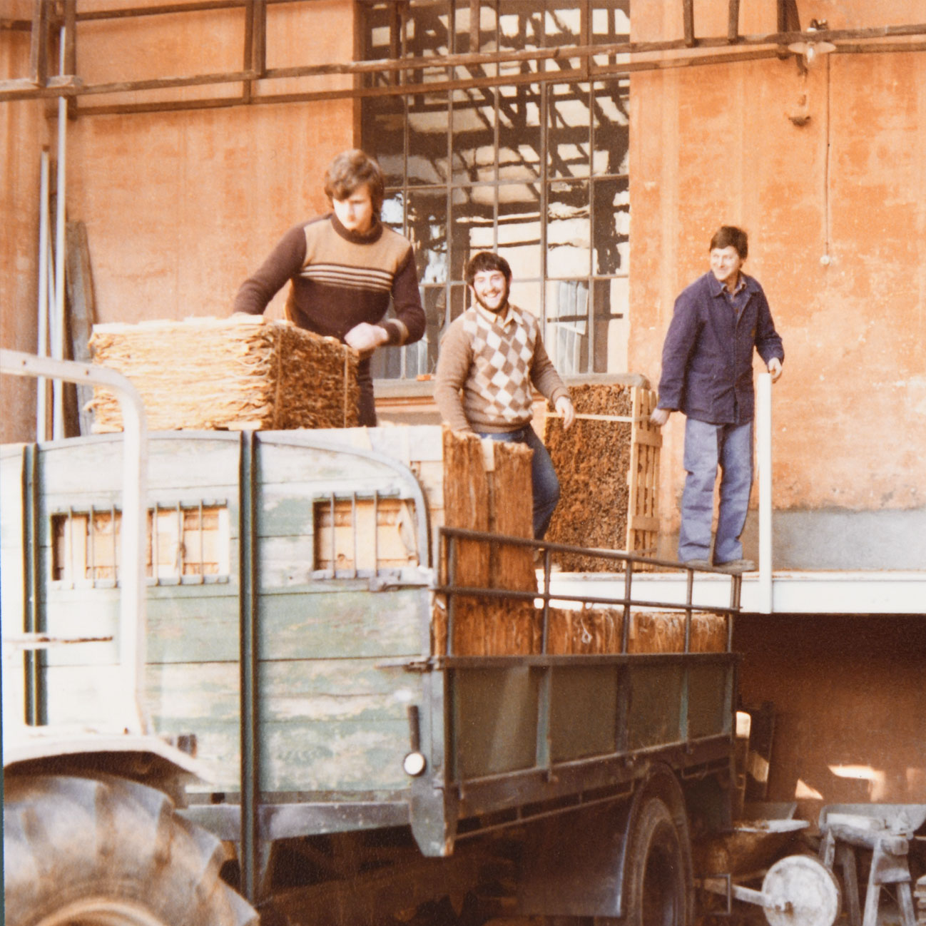 **Proseguimento lavorazione e fermentazione **
Se prima degli anni 70 era in corso la valutazione dell’introduzione della meccanizzazione della fabbricazione dei sigari, la stessa non avvenne. Al contrario, nel 1972 questa attività fu ceduta alla Fabbrica Tabacchi di Brissago e ci si concentrò esclusivamente sulla lavorazione e fermentazione dei tabacchi indigeni.