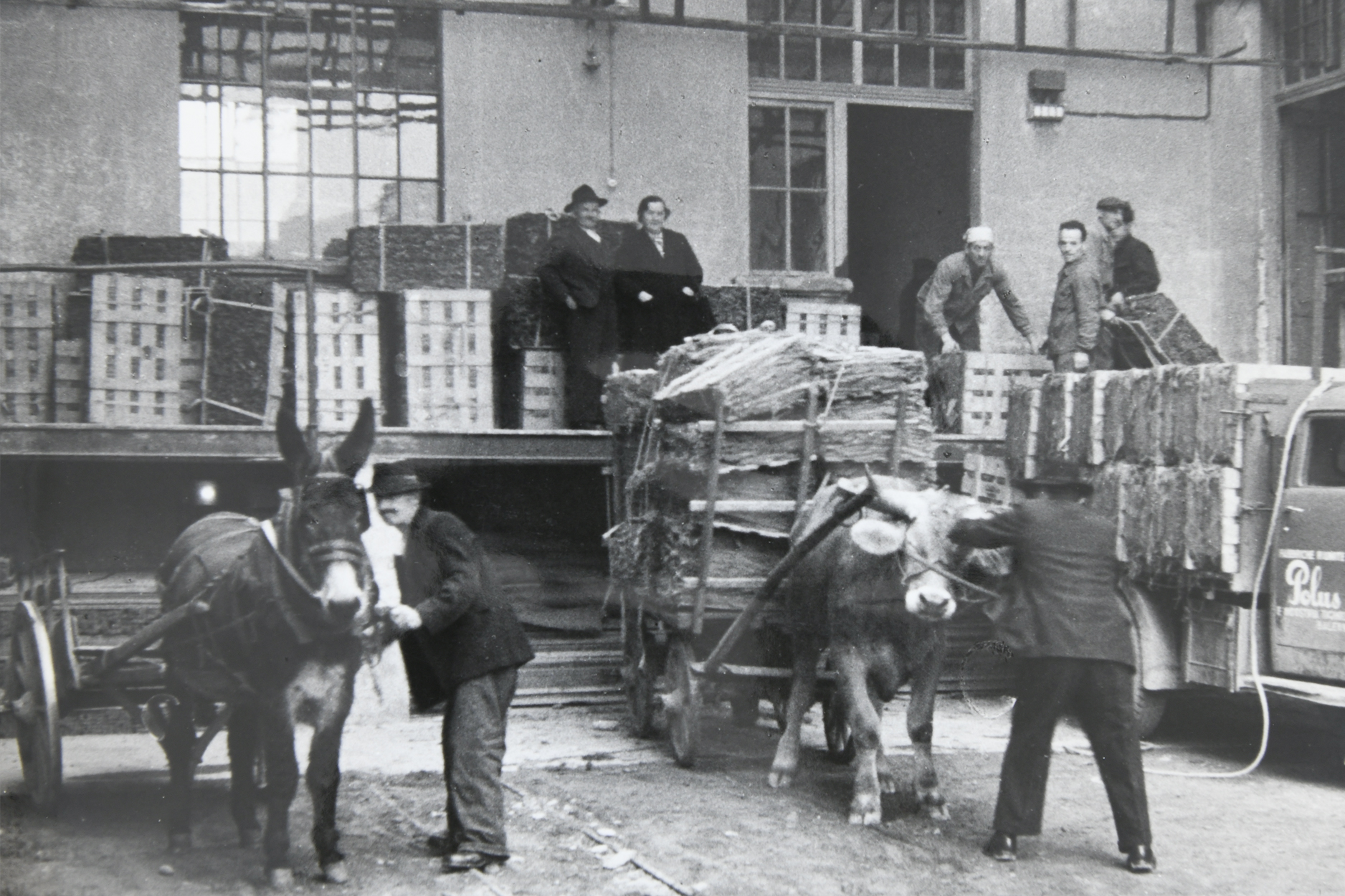 **Primo impianto di essicazione in Ticino**
La Polus era all’avanguardia nella fermentazione dei tabacchi e nel 1933 istallò il primo impianto per l’essicazione artificiale del tabacco in Svizzera.